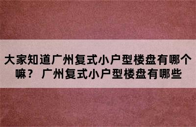 大家知道广州复式小户型楼盘有哪个嘛？ 广州复式小户型楼盘有哪些